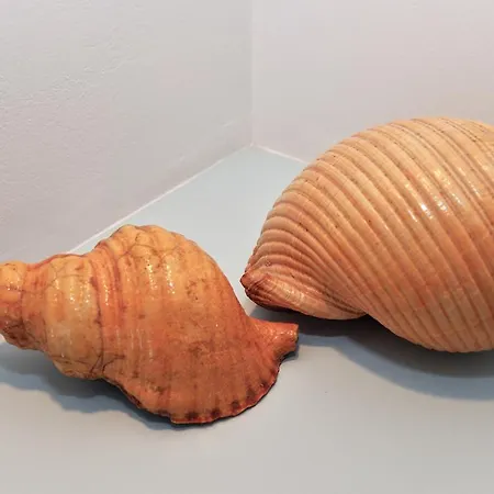 Venus Lägenhet *