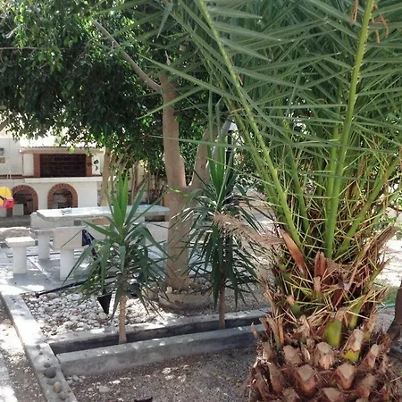 公寓 Venus 阿达玛斯