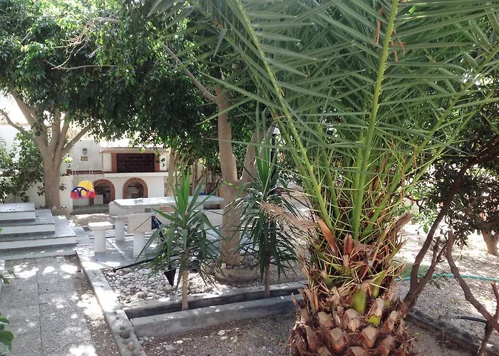 Venus Lejlighed Adamantas